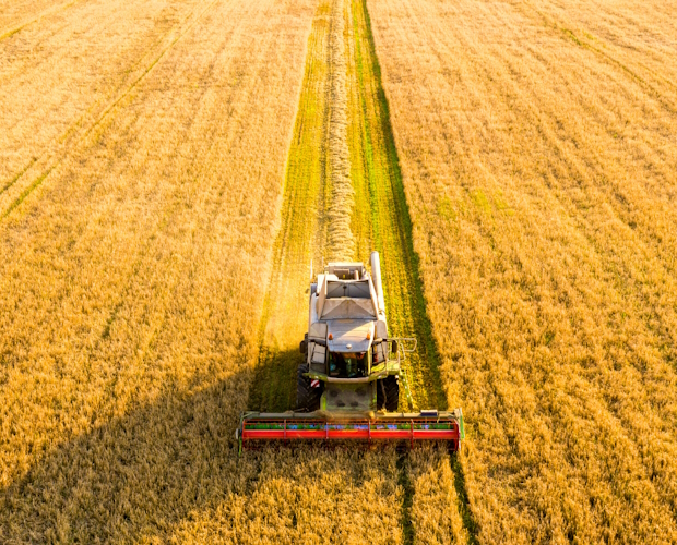 Call to Action: UK Farm Assurance Review Seeks Farmer Input for Future of Agriculture